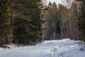 Rural road and forest in winter Royalty Free Stock Photo