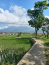 a rural road in garut Royalty Free Stock Photo