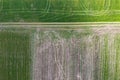 Rural road in green field, aerial view. Farmland, wheel marks. Aerial shot of spring agricultural landscape Royalty Free Stock Photo