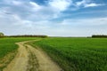 Rural road on green field. Bright sky with clouds Royalty Free Stock Photo