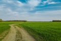 Rural road on green field. Bright sky with clouds Royalty Free Stock Photo