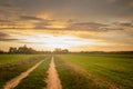 Rural road through a green field, clouds on the sky during sunset Royalty Free Stock Photo