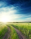 Rural road in a green field to the horizon and sunset in deep blue sky with clouds Royalty Free Stock Photo