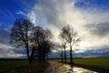 Rural road, green field, white clouds in blue sky Royalty Free Stock Photo