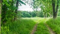 Rural road with green fields and forest near Benzin in Mecklenburg Royalty Free Stock Photo