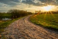 Rural road among green fields and sunshine, Zarzecze, Poland Royalty Free Stock Photo