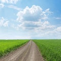 Rural road in green grass field and clouds in blue sky Royalty Free Stock Photo