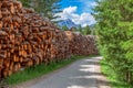 Rural road with harvested firewood for the winter. Italian Alps Royalty Free Stock Photo