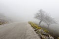 Rural road (Kefalonia island, Greece) on a foggy day