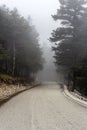 Rural road (Kefalonia island, Greece) on a foggy day Royalty Free Stock Photo