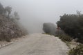 Rural road (Kefalonia island, Greece) on a foggy day Royalty Free Stock Photo