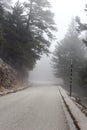 Rural road (Kefalonia island, Greece) on a foggy day Royalty Free Stock Photo