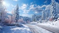 The rural road leading along the forest strewn with fresh snow