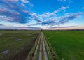 Rural Road Leading Through Green Fields Under a Dynamic Cloudy Sky Royalty Free Stock Photo