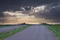 Rural road is leading to spectacular cloudscape Royalty Free Stock Photo