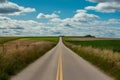 Rural road leads through picturesque countryside landscape