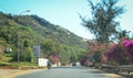 Rural road with many flowers in Phan Thiet, Vietnam