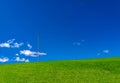 Rural road in middle of a green grass field in Andalusia Royalty Free Stock Photo