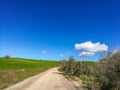 Rural road in middle of a green grass field in Andalusia Royalty Free Stock Photo