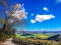 Rural road in middle of a green grass field in Andalusia Royalty Free Stock Photo