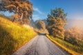 Rural road in mountains in autumn foggy morning Royalty Free Stock Photo