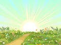 Rural road obliquely to Green Glade. Summer flowers meadow. Trail. Juicy grass close up. Grassland. Sunrise. Country Royalty Free Stock Photo