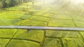 Rural road pass through green field. Aerial view of a field in the morning from a drone Royalty Free Stock Photo