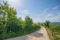 Rural road passing a village surrounded with forest, sunny day s Royalty Free Stock Photo