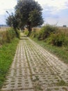Rural road in Polish countryside