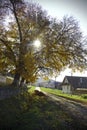 Rural road in Romania Royalty Free Stock Photo