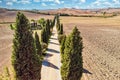 Rural Road in Siena Tuscany with Tuscan Cypress Trees Royalty Free Stock Photo