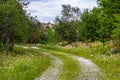 Rural road with small vegetation and cliffs Royalty Free Stock Photo