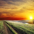 Rural road and sunset Royalty Free Stock Photo