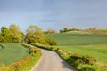 A Rural Road in Sussex on a Sunny Spring Evening