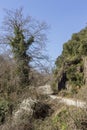 The rural road and trees Greece, Peloponnese Royalty Free Stock Photo