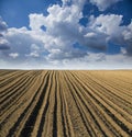 Rural road trough fields of arable land Royalty Free Stock Photo