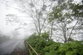 Rural road view in the fog. Rain on a msty morning with trees in the woods background. Royalty Free Stock Photo