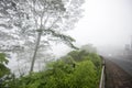 Rural road view in the fog. Rain on a msty morning with trees in the woods background. Royalty Free Stock Photo