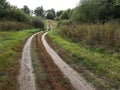 Rural Road. Rural Village Landscape