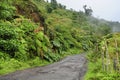 A rural road windes through the lush countryside in in Costa Rica.