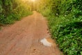 Rural roads are bumpy along the fence.