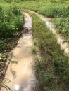 Rural roads are flooded by rain. Royalty Free Stock Photo