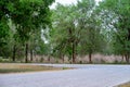 Rural roads have trees on both sides