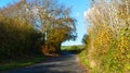 Rural roads in late autumn sunshine