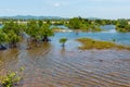 Rural roads after rain season Royalty Free Stock Photo