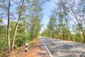 Rural Roads in Thailand Royalty Free Stock Photo