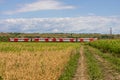 Rural Romanian landscape with a train passing through. The land is a patchwork of wheat and corn fields Royalty Free Stock Photo