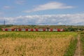 Rural Romanian landscape with a train passing through. The land is a patchwork of wheat and corn fields Royalty Free Stock Photo