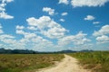 Rural rough road flanked with coin field and white clouds with blue sky in background. Royalty Free Stock Photo