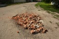 A rural run-down road in a bad condition. A road pit filled with a construction waste bricks Royalty Free Stock Photo